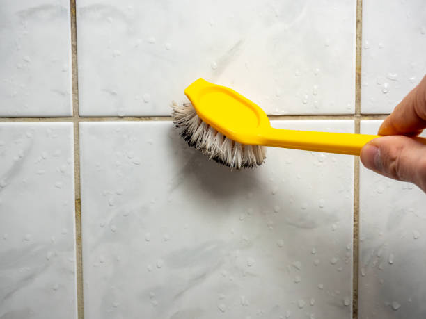 Best Mold Remediation  in Eastlawn Gardens, PA