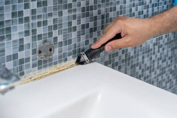 Best Attic Mold Removal  in Eastlawn Gardens, PA